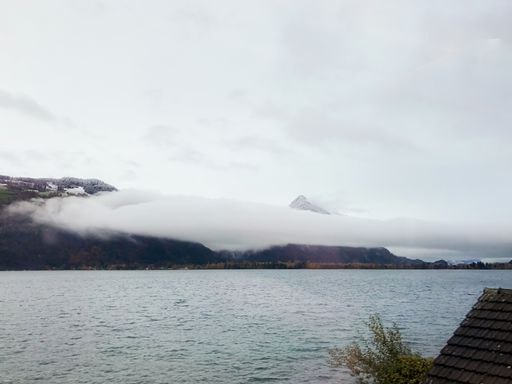 The Lake Thun surrounded by forests and rocks covered in fog in Switzerland