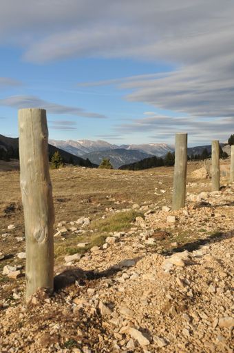 A vertical shot of wooden pillars in a field against a mountain range under a cloudy blue sky