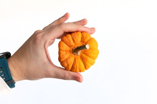 An isolated shot of a hand holding a dwarf pumpkin