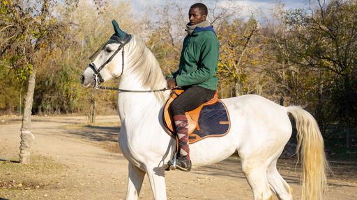 A male jockey riding a white horse for training against autumnal trees