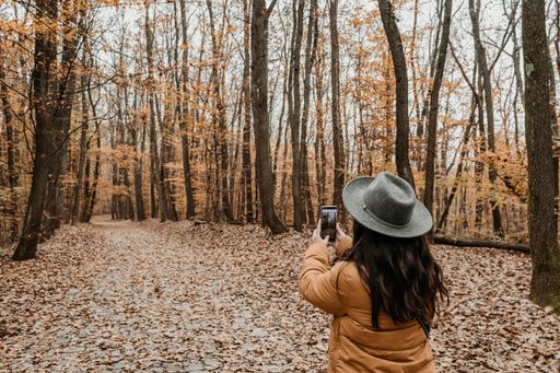 A back view of a female taking a photo of the autumn forest with her smartphone