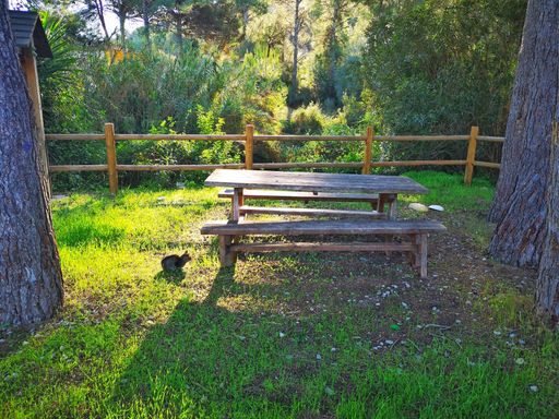 An old wooden table with benches surrounded by greenery in a park under the sunlight