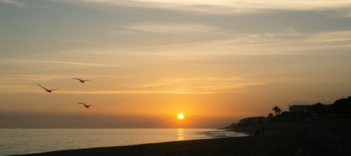A beautiful sunrise at a quiet beach with flying seagulls