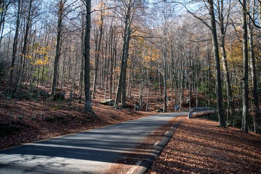 A road leading to the Montseny Natural Park in Barcelona, Spain