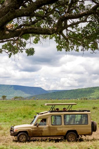 A vertical shot of tourists watching a leopard under construction from the touring car