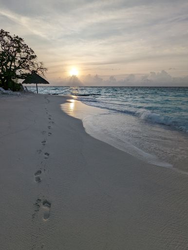 A scenic view of the beautiful beach of Maldives during sunset