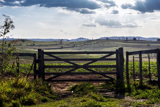 A beautiful shot of the wooden gate at the entrance to a cassava farm in the rural area in Brazil