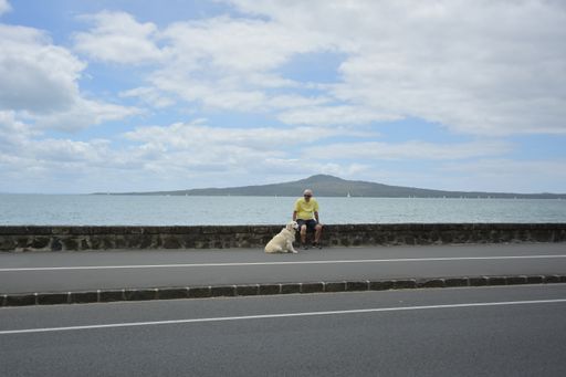 View of man with dog sitting at Mission Bay with Rangitoto Island in background