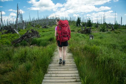 A view of a girl with a red backpack walking on a path in grassland and trees on a cloudy day