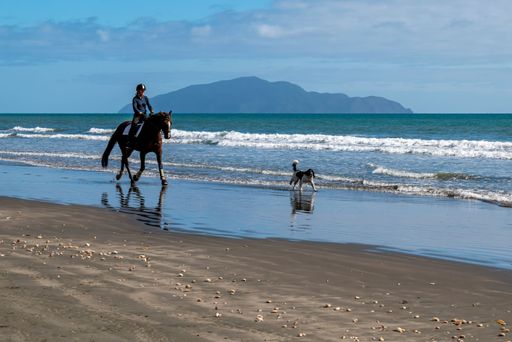 A horse rider and dog at Otaki Beach, Kapiti Coast, New Zealand