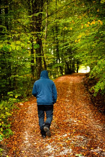 A lonely person wearing a hoodie walking along a pathway with fallen autumn leaves surrounded by beautiful trees