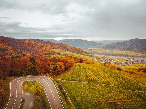 Breathtaking autumn shot of curved road surrounded by beautiful colorful trees and green agricultural fields under cloudy sky