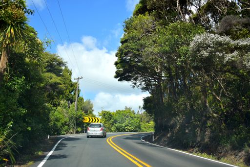 View of Toyota Vitz car driving on hilly road through Waitakere Ranges forest away from camera