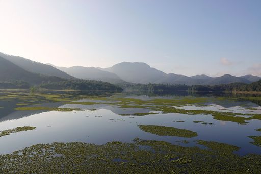 A beautiful view of the sunrise over a lake in a mountain forest under clear blue sky