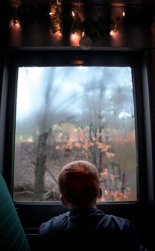 A teenage boy sitting near the window in the train car and enjoying the view