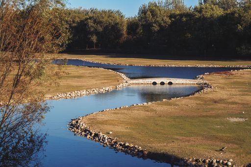A scenic view of a tranquil river winding through a grassy field, lined with trees and a dense forest in the background