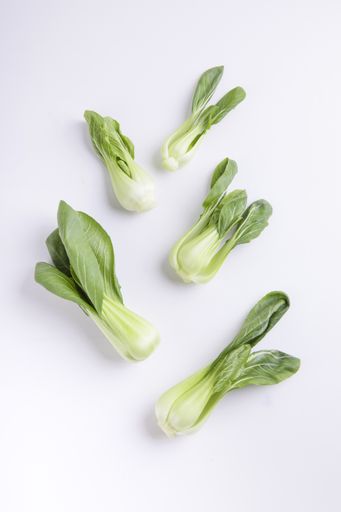 A closeup shot of fresh green bok choy vegetable isolated on a white background