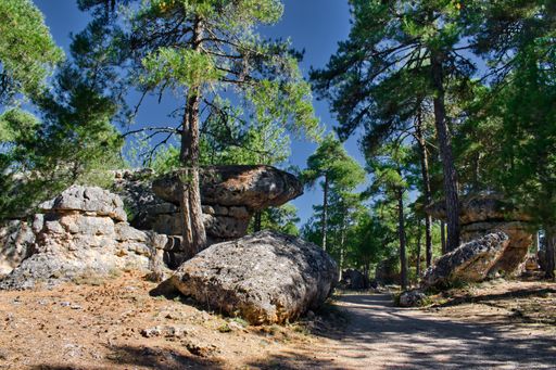 Dirt road between rocks and pine trees in the Enchanted City of Cuenca