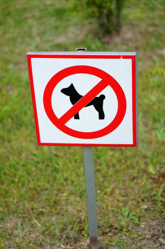 A vertical shot of a "No Dogs Allowed" sign