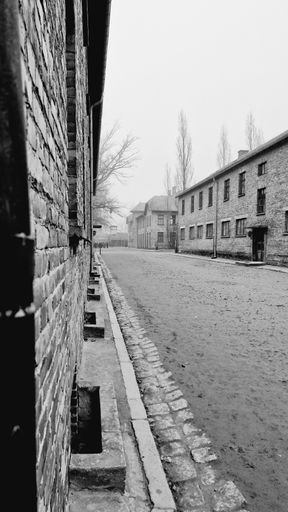 A grayscale shot of the empty road in Auschwitz concentration camp during autumn