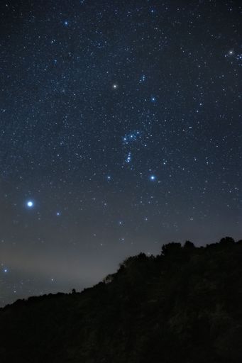 A vertical shot of a starry sky