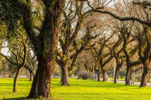 The Marinha do Brasil Park covered in greenery under the sunlight in Porto Alegre
