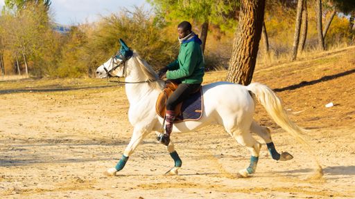 An adult black male in warm clothes riding on a white horse at a ranch