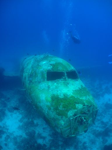 A scuba diver swimming around a sunken plane