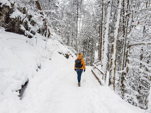 A beautiful view of a Caucasian woman walking in the frozen forest covered in snow