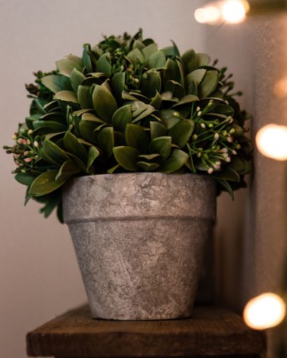 A closeup shot of a stone flowerpot  with flowers and plants inside