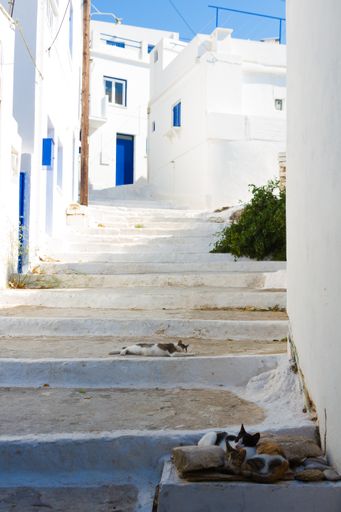A vertical shot of stairs leading to white buildings in Greece