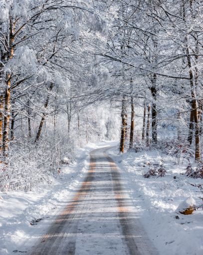 A white winter landscape with a road through a fores