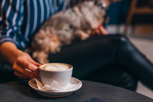 A girl drinking caffe latte with her dog in a coffee shop