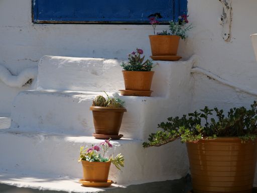 Decorative potted houseplants and flowers on a white staircase of a house