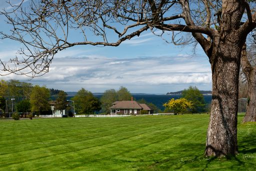A landscape of a green field on a background of the rural buildings on a sunny day