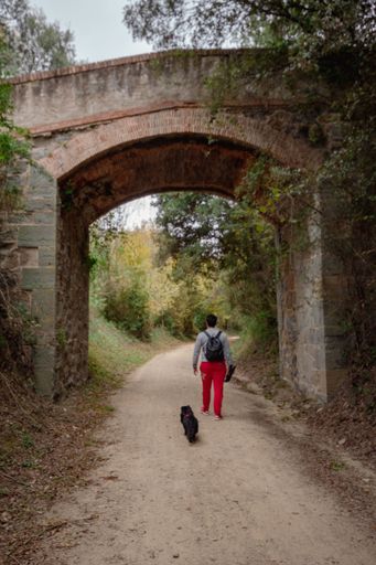 Hiker walking with the dog along the mountain route passing under the bridge with his backpack to spend the day in nature.