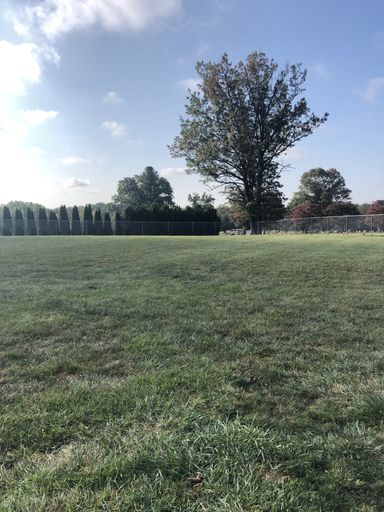 A vertical shot of a park surrounded by fences and greenery under the sunlight and a blue sky