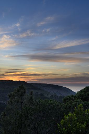 A vertical beautiful shot of a sunset cloudscape over a densely forested area