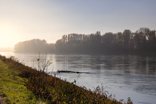 A beautiful view of the Rhein river in Germany