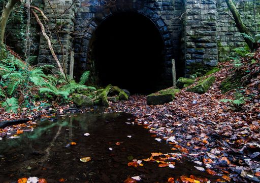 A puddle and colorful fallen leaves by the entrance of dark stone tunnel