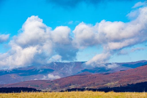 A beautiful shot of late autumn landscape with clouds over the mountains