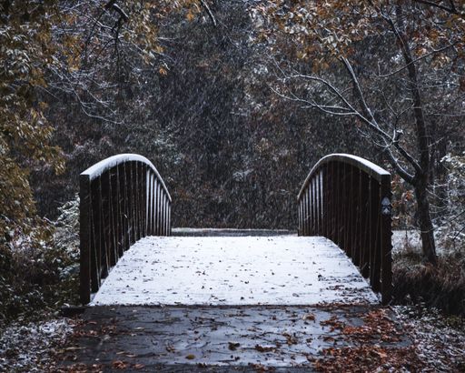 A light snow-covered bridge crossing a forest on a gloomy day in winter