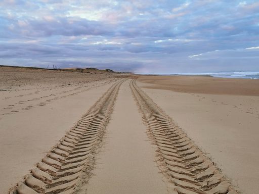 A view of straight tire tracks prints in the beach sand