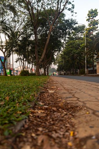 A vertical shot of a street under the clear sky in Bình Thọ, Vietnam