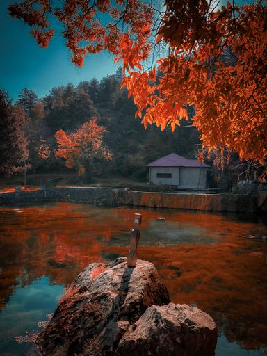 A vertical shot of rocks underneath a tree with red leaves reflecting on a lake
