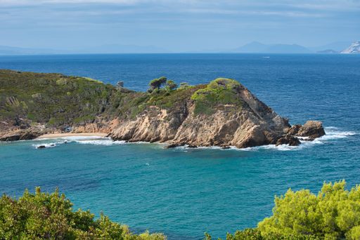 A majestic shot of a grassy coastline and a calm seascape view in Koukounaries beach, Skiathos island, Greece
