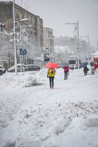 The people with umbrellas walking in the street during a snowstorm, vertical
