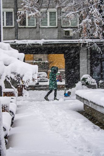 A side view of young girl and her dog walking outside in snow storm - winter magic
