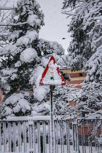 A vertical shot of a frozen traffic light sign covered in snow
