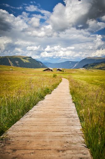 A vertical shot of a boardwalk in a grassy field surrounded by high rocky mountains under a cloudy sky